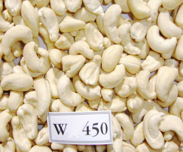 VIETNAM RAW CASHEW